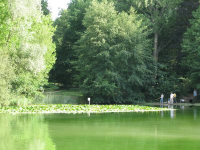 Cliquez pour voir l'image en taille réelle