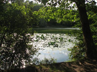 Cliquez pour voir l'image en taille réelle