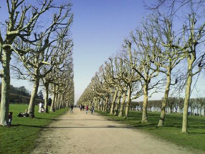 Cliquez pour voir l'image en taille réelle