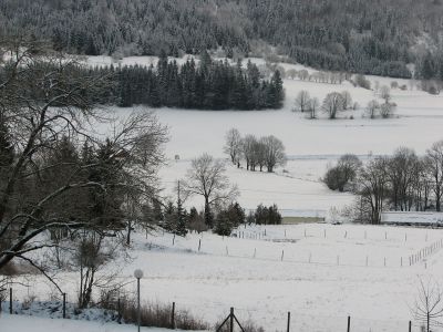 Cliquez pour voir l'image en taille réelle